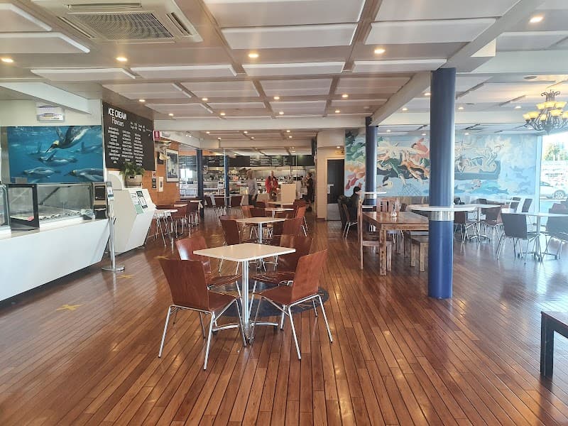 Mures Lower Deck